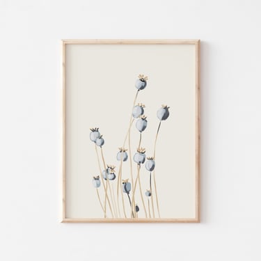 Floral Art Print, Minimalist Art, Poppy Seed Pods, Neutral Wall Art, Minimal Poster, Boho Art, Floral Nursery Art, Botanical Print 