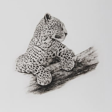 Leopard in a Tree by Joseph Vance 