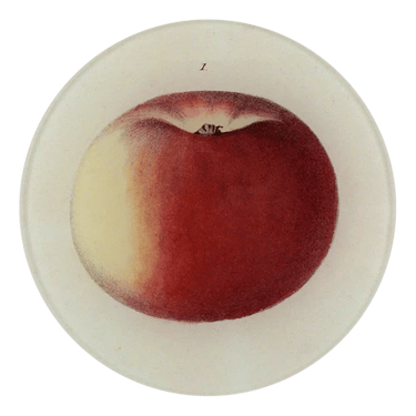 Lady Apple 1, 5 1/4&quot; Round Plate