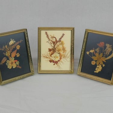 70s Set of 3 Framed Real Pressed Dried Flowers - Goldtone Metal Frames w/ non-glare glass - Vintage 1970s - 3.25