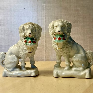 Pair English Staffordshire Minature Poodles 