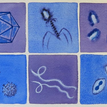 Viruses in Lavender and Blue  - original watercolor painting - microbiology art 