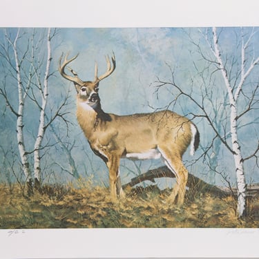White Tail Deer by Noel Daggett 