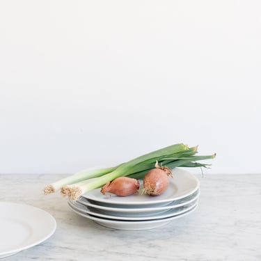 Pillivuyt Plate Set of 5