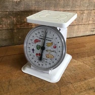 American Family Scale (Tacoma)