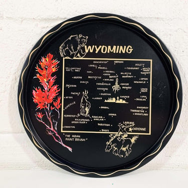 Vintage Metal Wyoming Drink Tray Plate Souvenir Retro Indian Paint Brush Flower Flowers Blossom MCM Mid-Century Barware Bar 