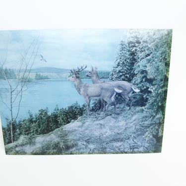 Vintage 60's Lenticular Lakeside Deer Picture - Subtle 3D Effect - WonderCo. Tokyo Japan 
