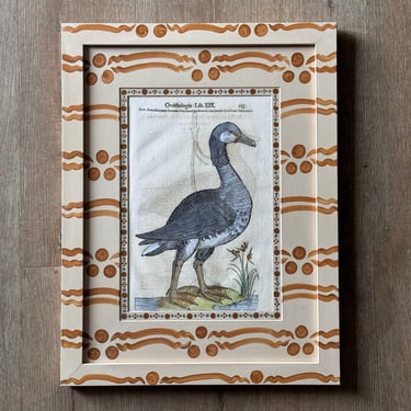 Aldrovandi Hand-Colored Bird Engravings in Gusto Painted Frame and Mat XII