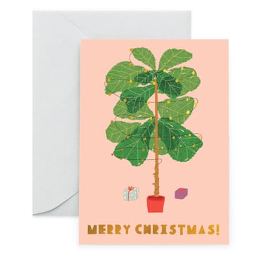 Ficus Lyrata Holiday Card