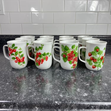 Vintage Seymour Mann Red Berries Pattern Porcelain Set of 12, Cherries, Strawberries, Red Raspberries, Boysenberry, Currant, 1975 Mug Set 