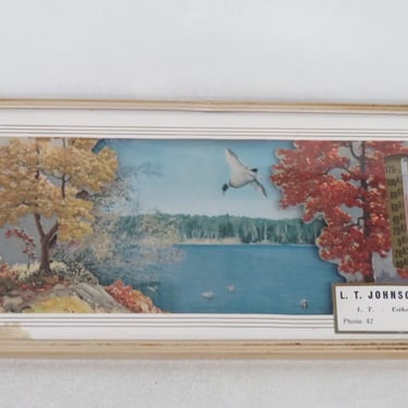 LT Johnson Agency Nature Landscape Advertising Thermometer Picture 3356B