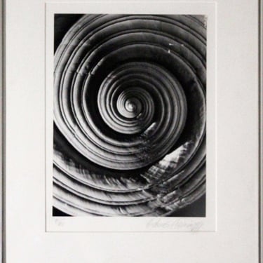 A. Feininger Shell Whorl 1950 Signed Portfolio of Shells Gelatin Silver Print 