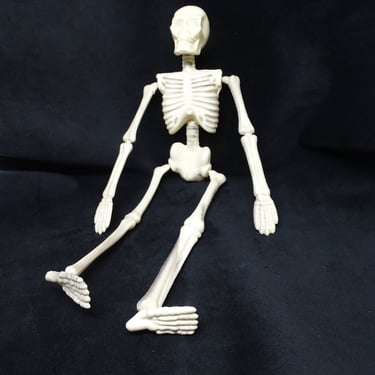 Vintage 15 Inch Plastic Halloween Skeleton, Retro MCM Party Favor Decor 