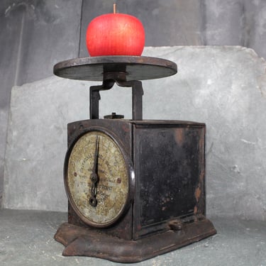 Antique Universal Family Scale | Rustic Decor | Heavy Cast Iron Antique Scale | FREE SHIPPING 
