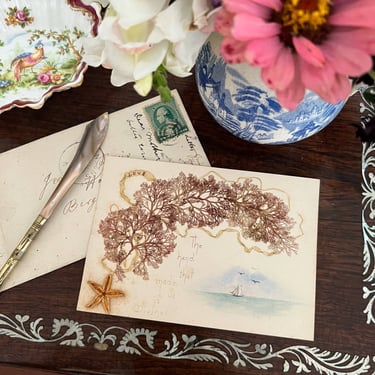 Antique Pressed Seaweed Card with Miniature Painting  