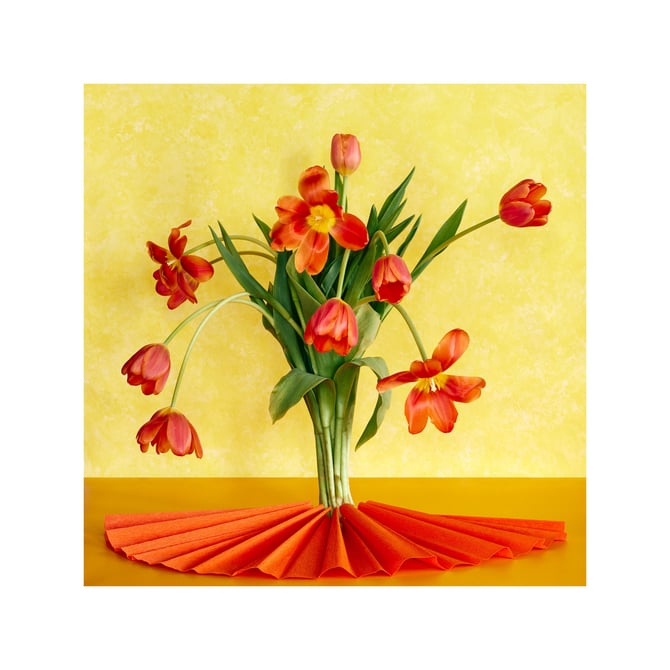 Summer Tulips: Still Life, Fine Art, Interior Design, Modern Art, Floral Art, Dutch Still Life, Orange Tulips, Red Tulips 