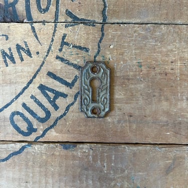 Antique Cast Iron Salvaged Door Keyhole Plate 