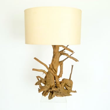 Early Driftwood Lamp