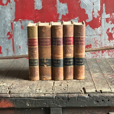 RESERVED Lot of 20 1890s Antique Leather ‘Illinois Reports’ Books 