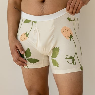 Organic Boxer Brief or Brief, Strawberry Print Underwear, Made to Order Briefs 