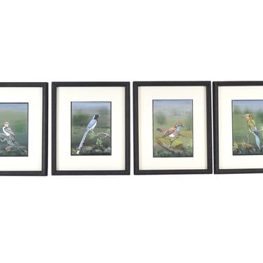 Vintage Set 4 Finely Rendered South Asian Colorful Ornithological Bird Paintings 