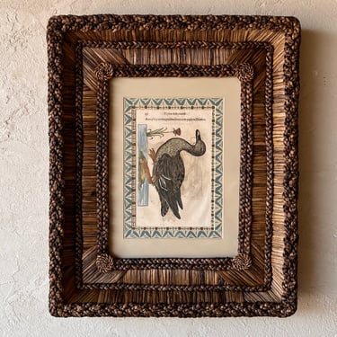 Gusto Woven Frame with Aldrovandi Hand-Colored Ornithological Engraving XXV