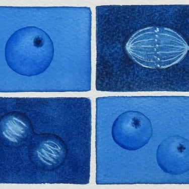 Blue Mini Mitosis  - original watercolor painting - cell cycle 