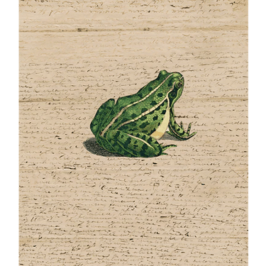 Frog Prince 11" x 14" Rectangular Tray