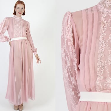 Thin Chiffon Pleated Maxi Dress / Pink Victorian Inspired Maxi Dress / Vintage 70s Sheer See Through Cocktail Party Gown 