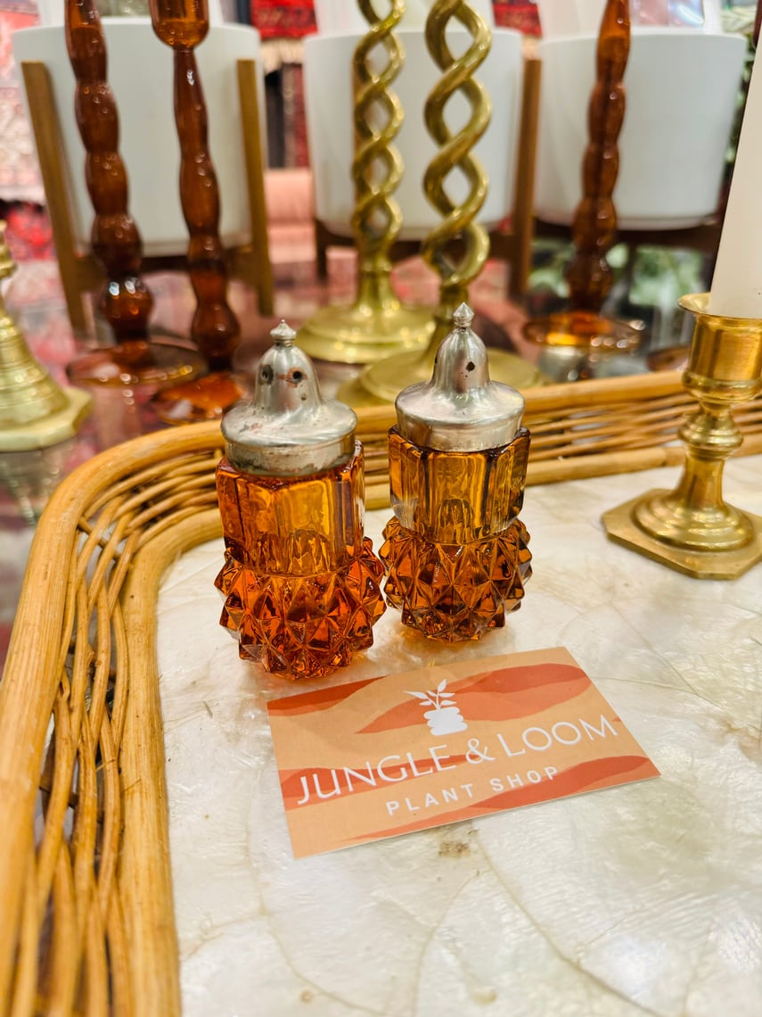 Vintage Salt and Pepper Shakers | Jungle and Loom | Washington, DC