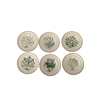 French Longchamp Botanical Dessert or Bread and Butter Plates- Set of 6 