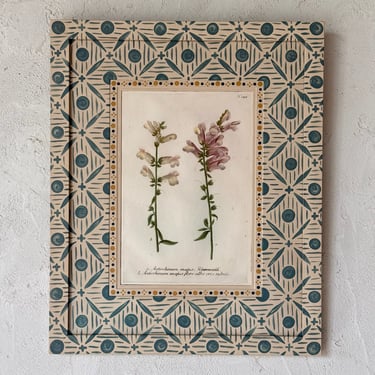 18th C. Weinmann Hand Colored Botanical Engraving in Gusto Blue Painted Frame XI