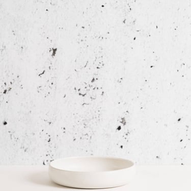 Edan Stoneware Pasta Plate in White