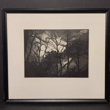 Vintage Etching Black & White Tree Silhouette Nature Scene Framed Matted 16x18 