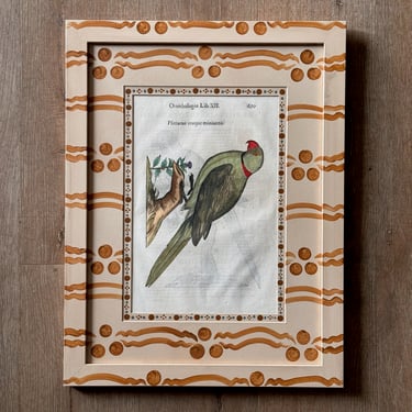 Aldrovandi Hand-Colored Bird Engravings in Gusto Painted Frame and Mat XVI