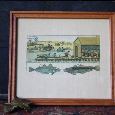 Antique Print after Jacob Nilson, Fish, Augsburg, 1804 Harbor Fishing 