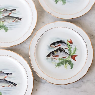 Porcelain Fish Plate Set of 4