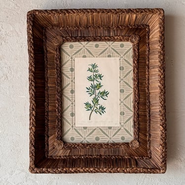 Gusto Woven Frame with Phillip Miller Engraving of Snap Tree circa 1807