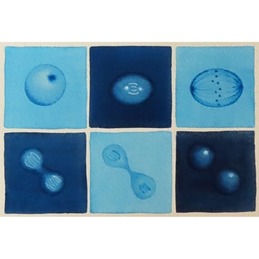 Blue Mitosis  - original watercolor - cell cycle - biology art 