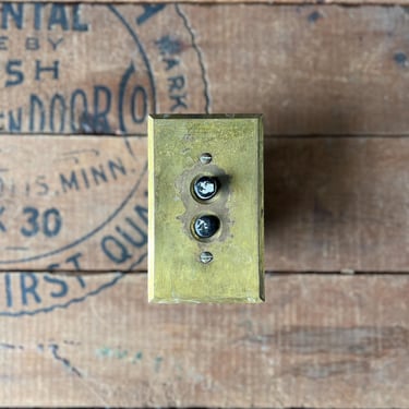 Salvaged Brass Push Button Switch and Plate Cover 