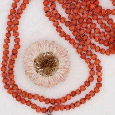 River Song | Italian Coral Necklace