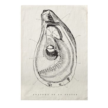 OYSTER ANATOMY PURE LINEN TEA TOWEL by SIR l Madame