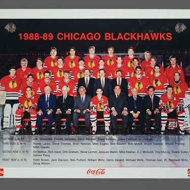 1988-89 Chicago Blackhawks Poster 17 x 22 Vintage NHL Hockey Team Poster 