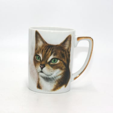 vintage Royal Ann Cat Mug 