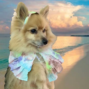 Pet Ruffle Collar, Pet Cottage Core Collar, Oversize Pet Collar, Small pet clothes, Tie Dye dog clothes 