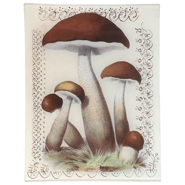 Mushroom with Lace 8 x 10.5" Rect. Tray