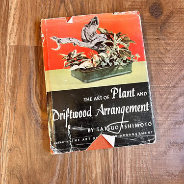 1950s Driftwood Plant Arrangement Book Plant Lover Gifts Art 