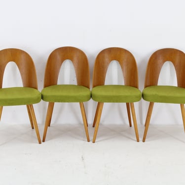 1960s Set of Four Antonin Suman Dining Chairs , Restored / Mid-century / Vintage Chairs / 