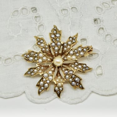 Victorian 14K Gold Natural Seed Pearl Encrusted Brooch or Pendant 85 Seed Pearls Bride Something Old Gift for Her Heirloom RARE Antique 