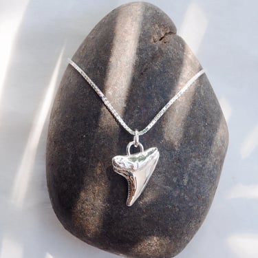 Silver Shark Tooth Necklace - Mano 